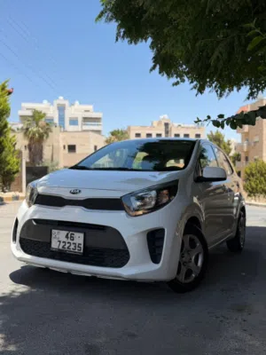 Used Kia Picanto in Amman