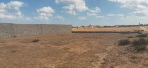 ارض للبيع كزيوني