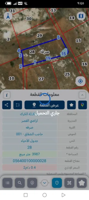 أرض للبيع في الكرك منطقة القصر قرية صرفه بسعر مناسب جداً لكامل القطعه  فرصه ورخصه