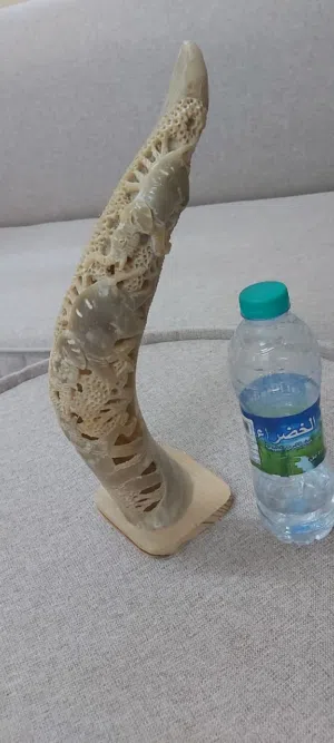 قرن نادر وعليه نحت جميل