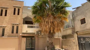 Mixed Use Land for Sale in Tripoli Zanatah