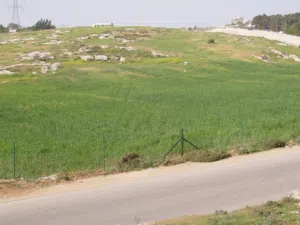 Mixed Use Land for Sale in Amman Airport Road - Dunes Bridge