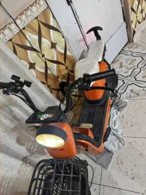 دراجة شحن للبيع