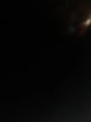 مطلوب كلب للتبني اي نوع