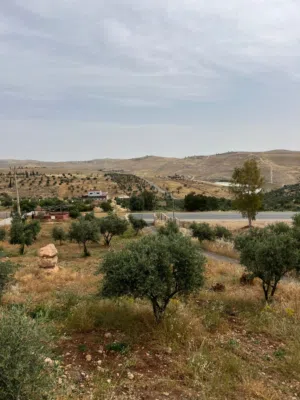 تملك شاليه مميز في جرش ع اوستراد جرش الزرقاء مباشرة