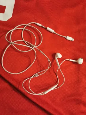Apple wired headset