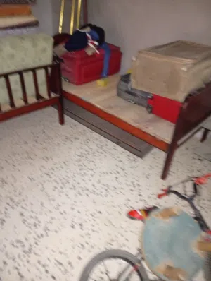 عدد2اسرةللبسع