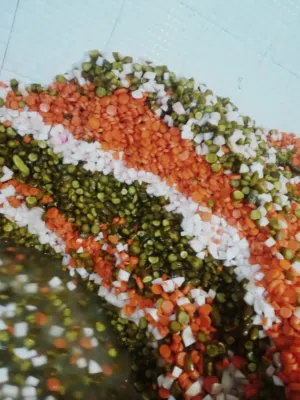 معلم مخللات وزيتون جميع انواع للمخلالات وزيتون خبره 10سنوات وخبره في إدارة المعامل