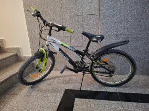 Strong Phillips bicycle.
