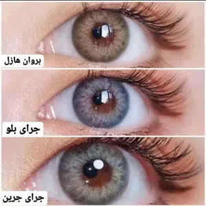 عدسات فريش ليدي مصرح من وزاره الصحه نازل عليه خصم لمدة ثلاثة أيام في شحن لأي محافظه
