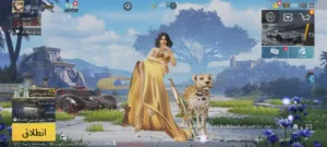 بوبجي عالميه