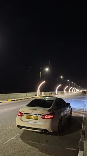 التيما 2016