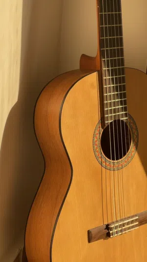 جيتار كلاسيك c40 من ياماها