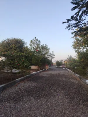 Farm Land for Rent in Al Batinah Al Masnaah