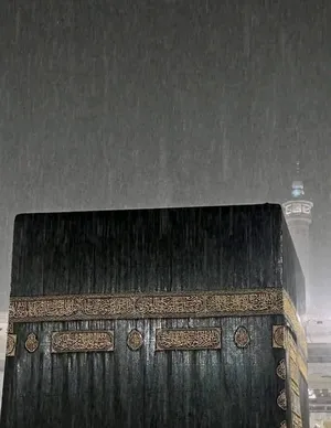 ‏90 م٢ ‏.‏ المالك‏1