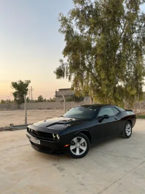 جالنجر sxt 2023