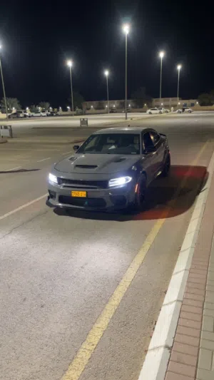عينك ع الوصف مهم مهم جدا