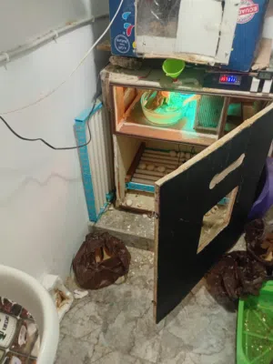 جرش سوف قرب الموسم العسكرية
