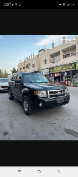 Used Ford Escape in Amman