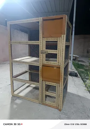 ‏إكسسوارات ‏.‏ طيور ودواجن‏2