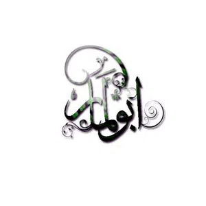 hesham nasser