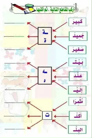 Training Courses . Management1