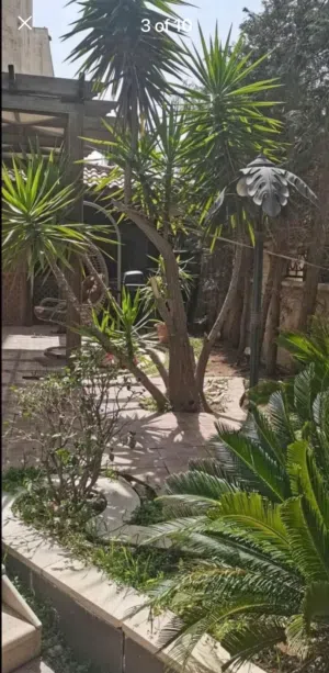 شقه ارضيه للبيع دير غبار مساحه كليه 420 متر