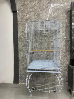 اقفاص ببغاء بحال الوكالة