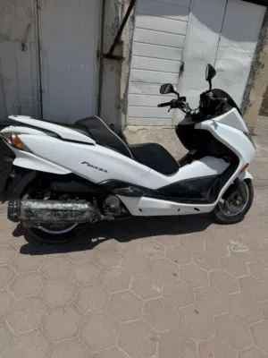 فورزا 010 كفاله عامه