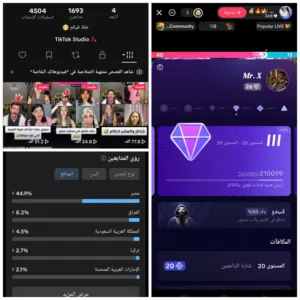 Social Media Accounts and Characters for Sale in Mubarak Al-Kabeer