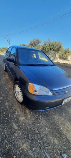 Used Honda Civic in Salt