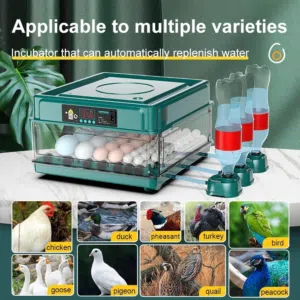 Chicken Incubator  Used