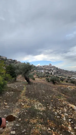 Mixed Use . 950 m2 . Landlord4