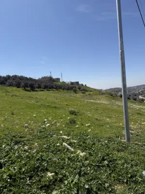 Residential Land for Sale in Amman Marj El Hamam