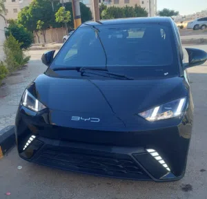 byd seagull 2023