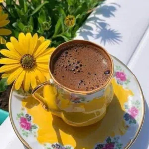 حيدر التميمي 