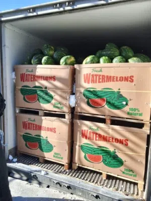 خضار وفواكه1