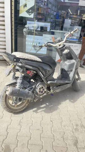 سكنس جبلي ما مكصوصة بلاد صيدة