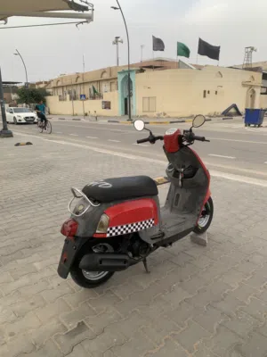 ماكس بوليس