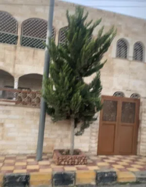220 m2 3 Bedrooms Townhouse for Rent in Amman Sahab