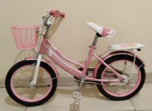 دراجة هوائية