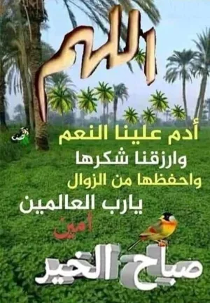 ‏60 م٢ ‏.‏ الوسيط‏0