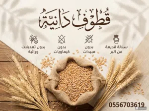 بر صماء ضرماء بدون مبيدات او تعديلات بر اجدادنا انتاج 2026