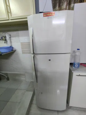 LG DOUBLE DOOR FRIDGE