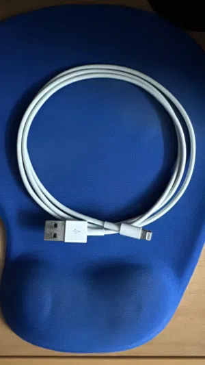 Apple Original charger