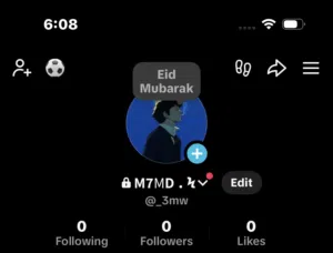 حساب تيك توك يوزر شبه ثلاثي - A fancy almost triple-letter TikTok username