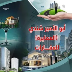 صلاح محمد شندي