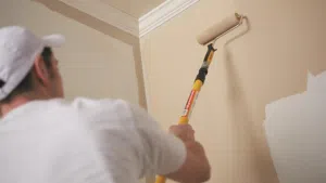 Especial discount painting Room 20 OMR with paint and decor work + house Mentinance