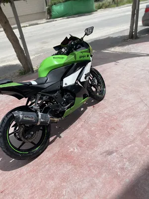 Kawasaki Other 2011 in Tulkarm