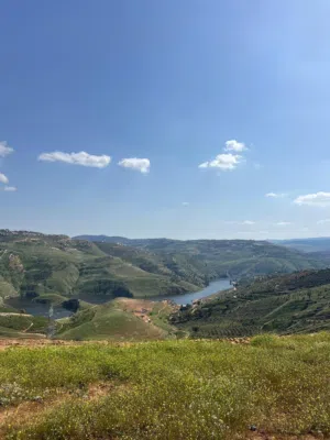 Mixed Use Land for Sale in Jerash Al-Majdal